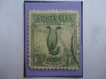 Stamps Australia -  Lyrebird (Menura Novaehollandiae) - Magnifico Pájaro Lira - One Schilling