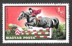 Stamps Hungary -  2100 - Deportes Ecuestres