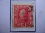 Stamps Austria -  Emperador Franz Joseph 1 de Austria-(Fco. José-1830-1916) -Serie 1916/18 - Sello de 15 Heller-Austro