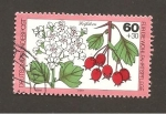 Stamps Germany -  CAMBIADO DM