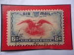 Stamps United States -  Bald Eagle with Coat of Armas- Serie: Airmail 1938