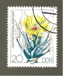 Stamps Germany -  CAMBIADO DM