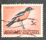 Stamps South Africa -  Pajaros