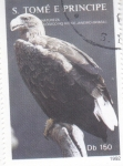 Sellos de Europa - Santo Tom� y Principe -  Águila marina de Steller (Haliaeetus pelagicus)