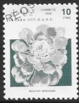 Stamps Morocco -  plantas 