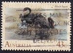 Sellos de Oceania - Australia -  cisnes negros