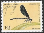 Sellos de Africa - Marruecos -  insectos