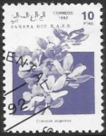 Stamps : Africa : Morocco :  plantas