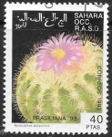 Stamps : Africa : Morocco :  plantas