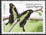 Stamps Morocco -  mariposas