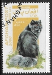 Stamps : Asia : Afghanistan :  Felinos - Persian 