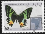 Sellos de Africa - Marruecos -  mariposas