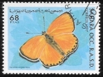 Sellos de Africa - Marruecos -  mariposas