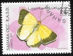 Stamps : Africa : Morocco :  mariposas