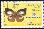 Sellos de Africa - Marruecos -  mariposas