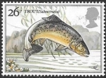 Stamps United Kingdom -  peces