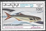 Sellos de Africa - Marruecos -  peces