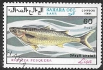 Stamps Morocco -  peces