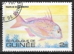 Stamps : Africa : Guinea :  Peces - Pagrus ehrenbergi