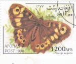 Stamps Afghanistan -  Mariposa