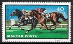 Stamps Hungary -  Equitacion - Caballos al glope