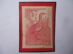Stamps Argentina -  Perdiz Colorada (rhynchotus rufescens)- Pro Infancia- Sello de 1+2 m$n-peso año 1960