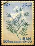 Stamps Lebanon -  Jasminum