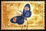 Stamps Lebanon -  Heliconius cybria