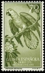 Stamps Equatorial Guinea -  Guinea Española 367 ** Loros