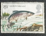 Stamps United Kingdom -  Peces