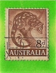 Stamps Australia -  Animales
