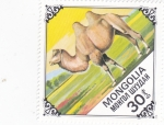 Stamps Mongolia -  CAMELLO