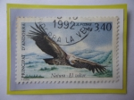 Stamps Andorra -  Principat D´Andorra- Buitre Leonado- (gips fulvus)- Sello de 3,40 Franco Francés, año 1992.