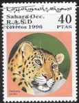 Stamps Morocco -  fauna