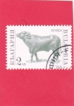 Stamps Bulgaria -  Toro (Bos primigenius tauro)