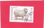 Stamps : Europe : Bulgaria :  Ovejas domésticas (Ovis ammon aries)