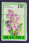 Stamps Africa - Malawi -  Flores