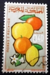 Stamps Morocco -  Frutas. Cítricos 