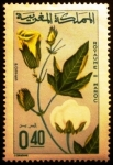 Stamps Morocco -  Agricultura