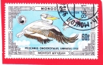 Stamps : Asia : Mongolia :  PELÍCANO