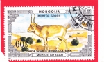 Stamps : Asia : Mongolia :  Saiga mongol (Saiga tatarica)
