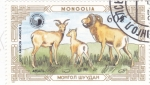 Stamps : Asia : Mongolia :  Argali (Ammón de Ovis)