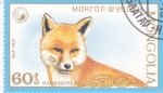 Stamps Mongolia -  vulpes