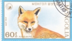 Sellos de Asia - Mongolia -  vulpes