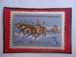 Stamps Russia -  URSS-Unión Soviética- Carrera de Renos - Deportes nacionales-Sello de 3 Kopek Ruso, año 1963.