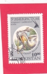 Stamps Asia - Uzbekistan -  Pelícano dálmata (Pelecanus crispus)