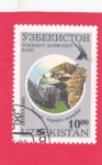 Stamps Asia - Uzbekistan -  Buitre cinerístico (Aegypius monachus)
