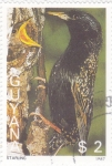 Sellos de America - Guyana -  estornino