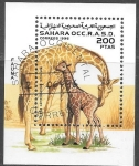 Sellos de Africa - Marruecos -  Fauna