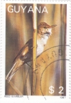 Stamps Guyana -  .REED WARBLER